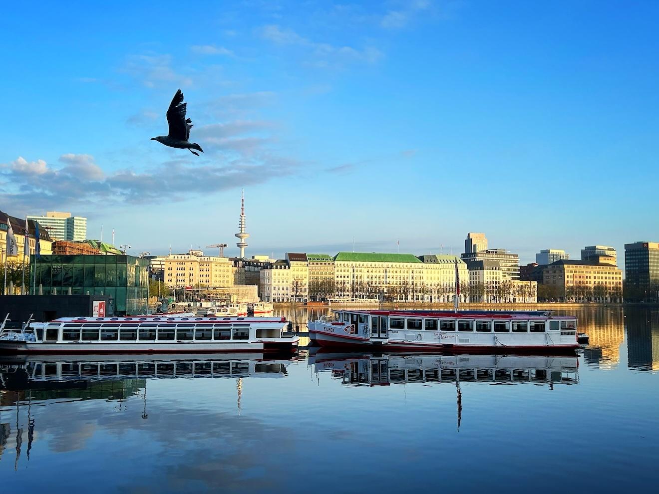 Early Bird trifft den frühen Vogel