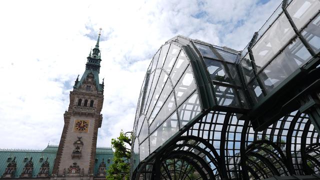 Elbvertiefung: Der tägliche Newsletter aus Hamburg: Auf dem Rathausmarkt gibt es jetzt Weinbergschnecken (mit Chili-Öl)