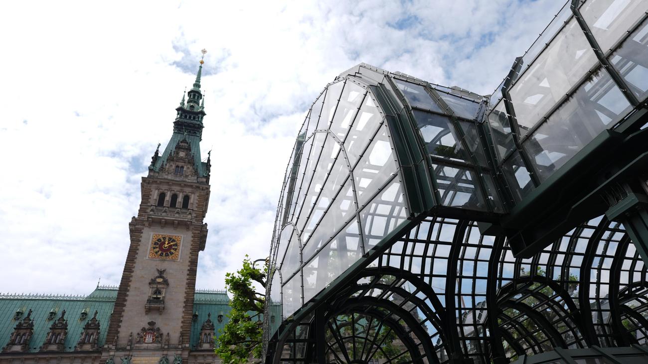 Elbvertiefung: Der tägliche Newsletter aus Hamburg: Auf dem Rathausmarkt gibt es jetzt Weinbergschnecken (mit Chili-Öl)