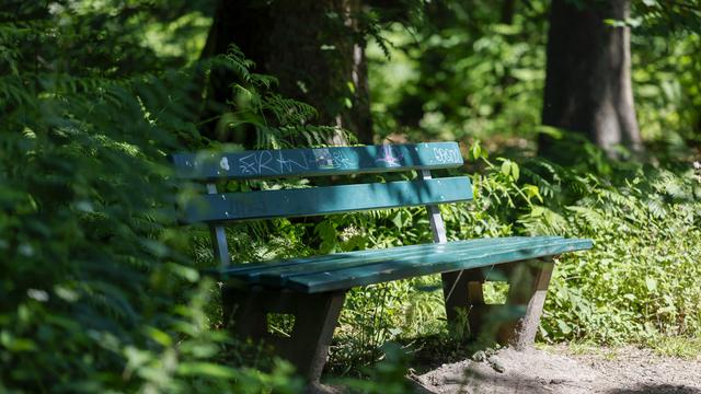 Elbvertiefung: Der tägliche Newsletter aus Hamburg: Wo steht die nächste Parkbank? Einen Mausklick entfernt