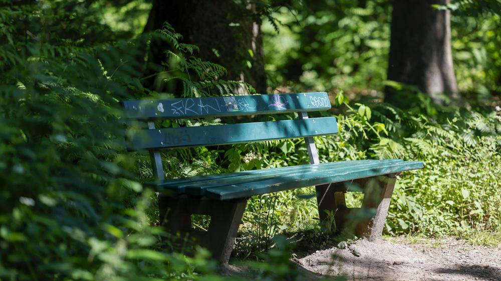 Elbvertiefung: Der tägliche Newsletter aus Hamburg: Wo steht die nächste Parkbank? Einen Mausklick entfernt