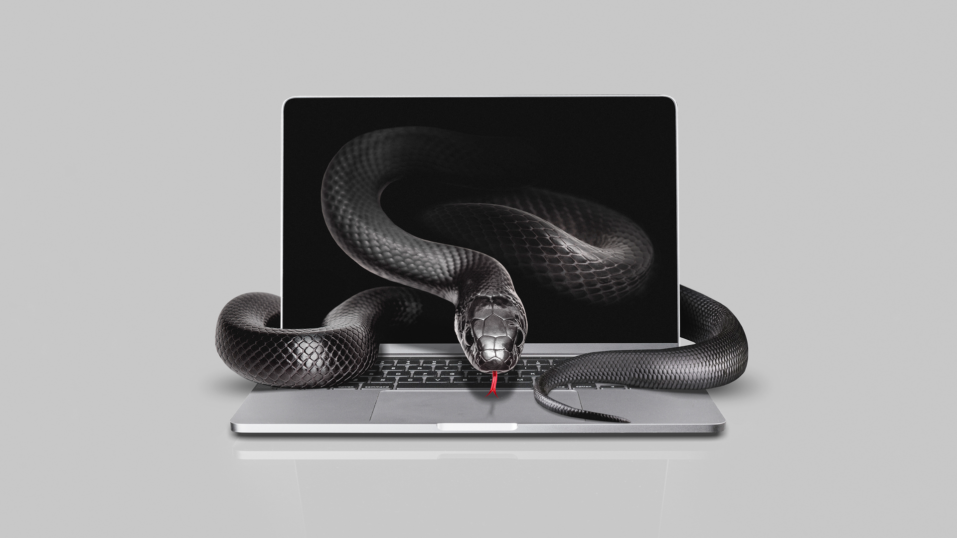 KI und Kriminalität: ChatGPT, geh stehlen!