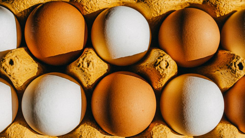 Eiweiß: Protein ist der Nährstoff der Gegenwart.