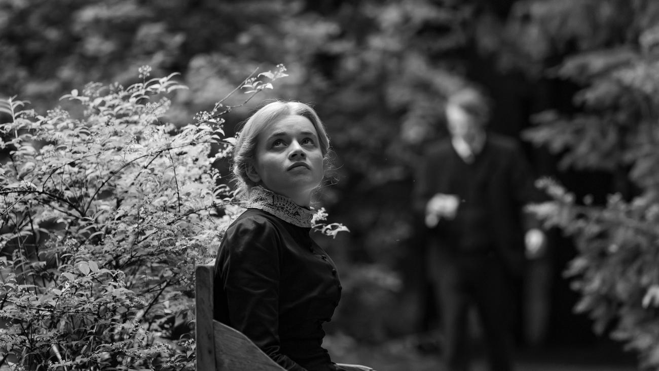 "Silent Friend": Das ist der Wipfel