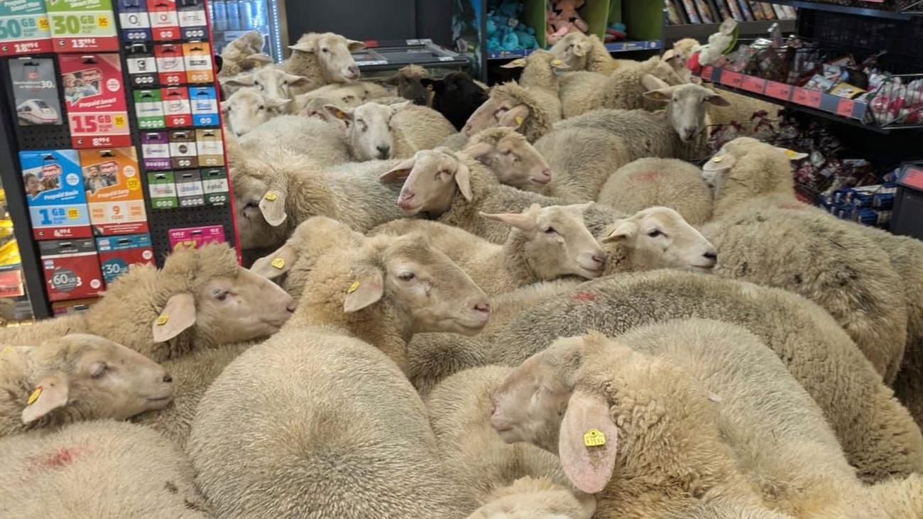 Weltflucht: Es lebe der Eskapismus