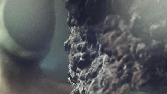 (+) Pierre Huyghe: Nie war Künstlers Kopf so leer