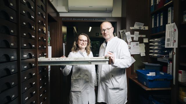 (+) Apotheken: Was Apotheker gegen Günther Jauch haben