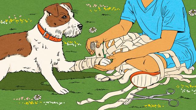 (+) Erste Hilfe am Hund: Mund-zu-Hund-Beatmung