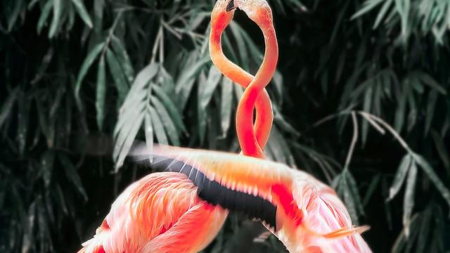 (+) Sinn des Lebens: 