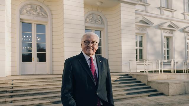 (+) Frank-Walter Steinmeier: