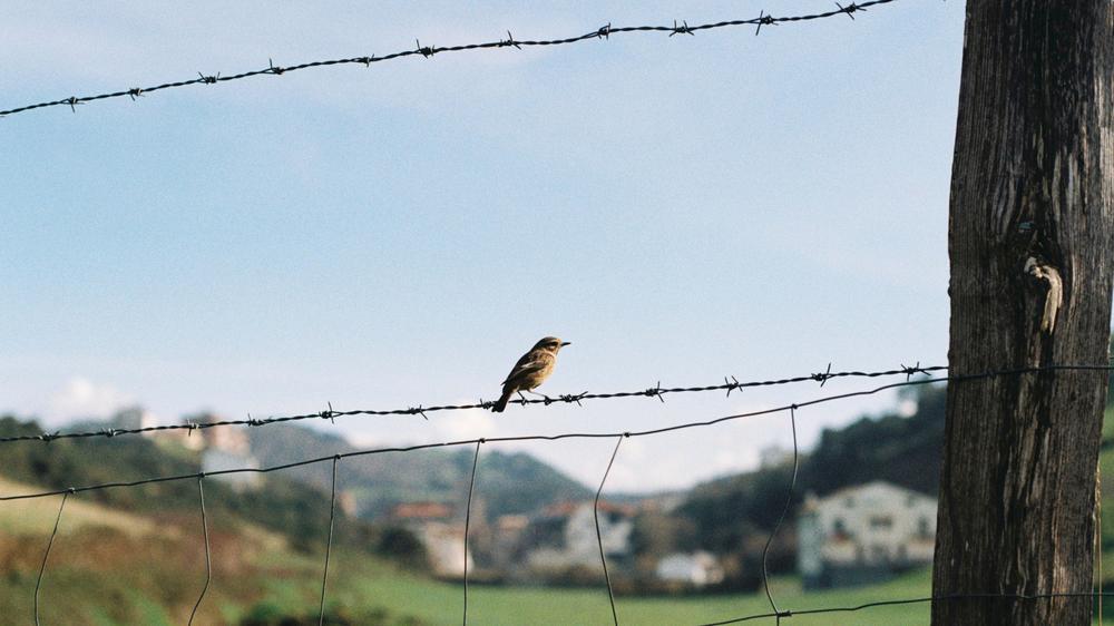Einsamkeit: Einsamkeit ist nicht objektiv, sondern eine subjektive Erfahrung. An ihr leidet vor allem jemand, dem es auch sonst schlecht geht.