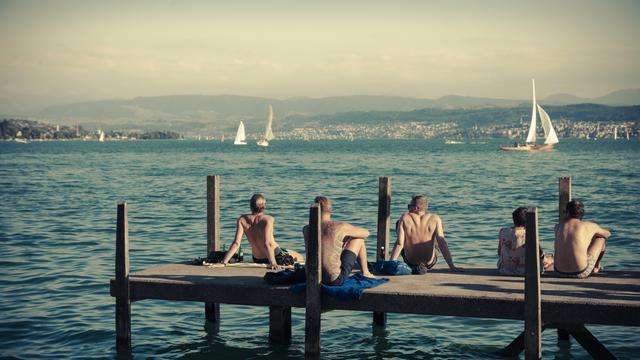 Bild
