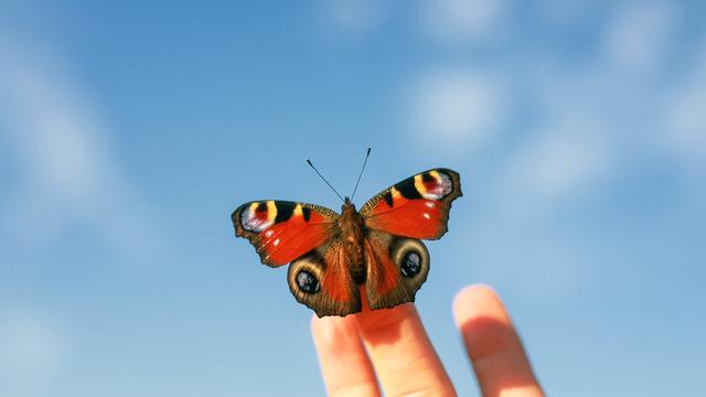 Ökosystem: Sprecht nicht, als wärt ihr Naturschützer!