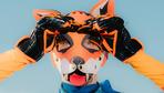Blake the Fox: Was will uns dieser Fuchs sagen?