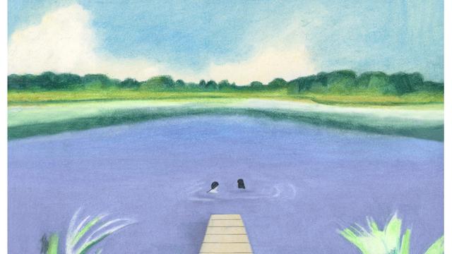 Badestege: Auch diesen Sommer gilt: Der Steg ist das Ziel