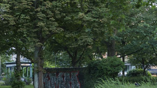 Verkehrsinsel am Klosterstern: Meine einsame Insel