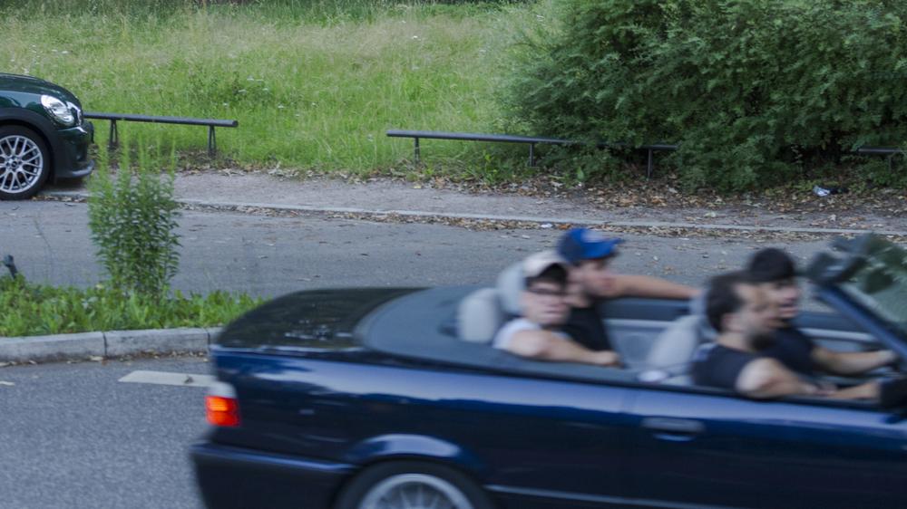 Verkehrsinsel am Klosterstern: Auf dem Klosterstern rauscht der Verkehr. Doch jenseits der Straße liegt ein stilles, grünes Schattenreich.