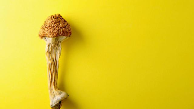 Microdosing: Und nun Askese light
