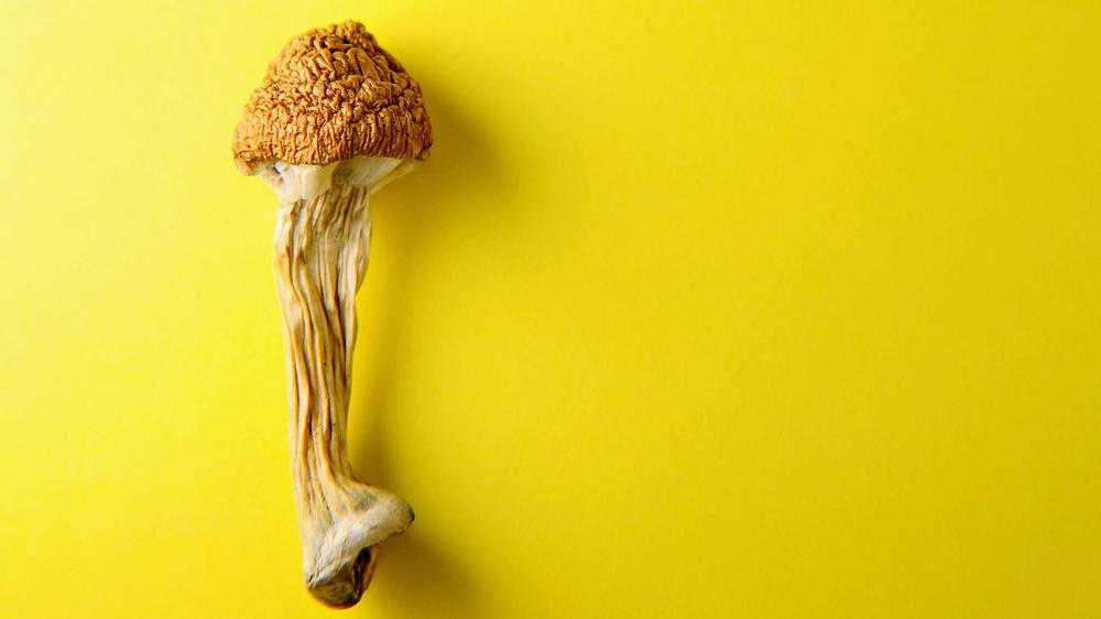 Microdosing: Mit einer Microdosis psychedelischer Pilze bleibt man angeblich ganz bei sich.