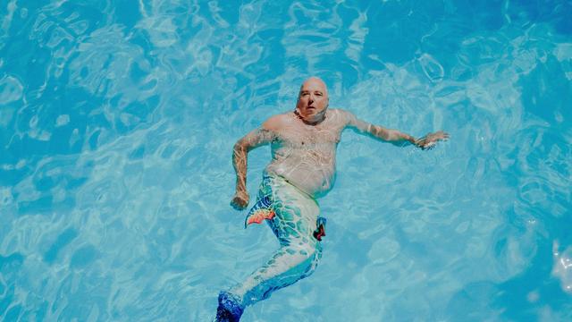 Bild