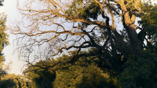 original__640x360