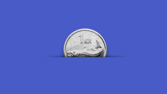 EU-Beitrittsreferendum in Island: Ein Bier für 13 Euro? »Nei«