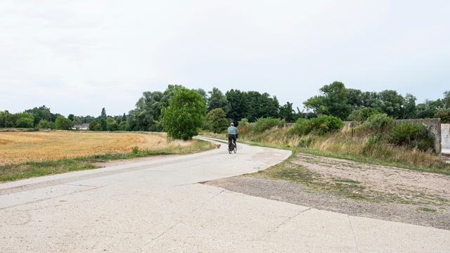 Bild: Wahl in Sachsen-Anhalt: Wo die Vergangenheit Zukunft werden soll