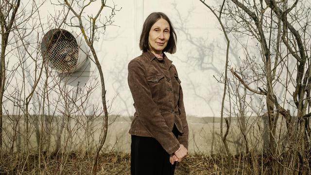Bild