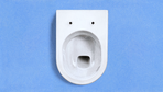Toilettenbau: Auf dem Klo war der Deutsche etwas Besonderes. Vorbei!