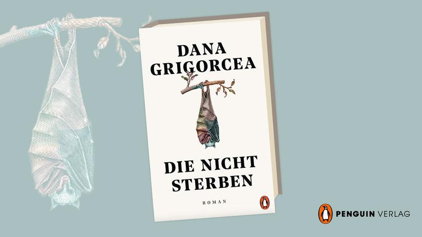 Dana Grigorcea: Dracula ist unter uns