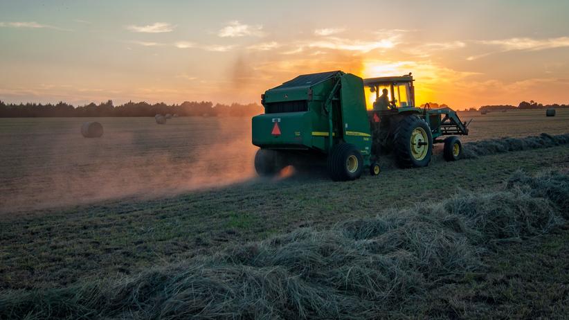 Landwirt: "Wir machen jährlich einen Umsatz von 1,3 Millionen Euro