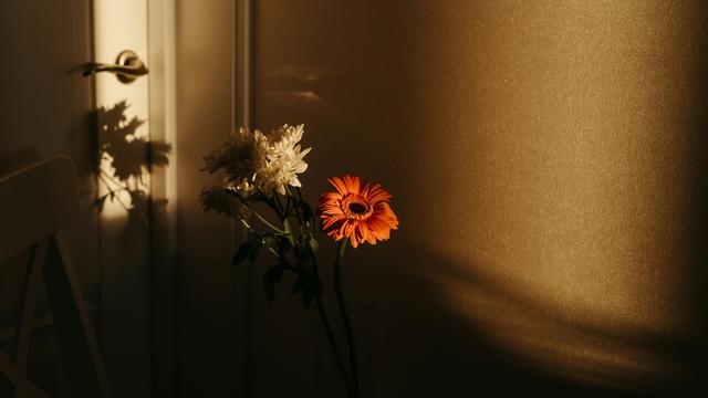 (+) Assistierter Suizid: 