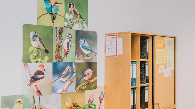 (+) Beamtentum: Leistet sich Deutschland zu viele Beamte?