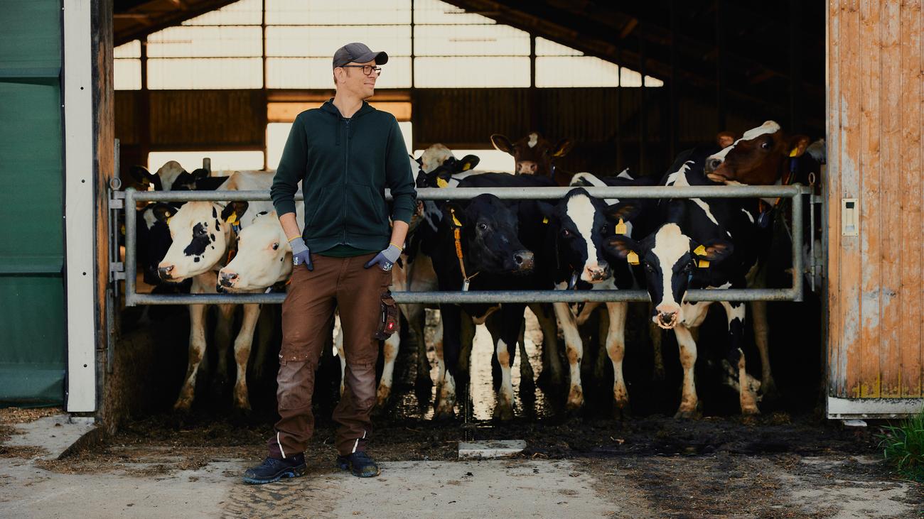 Arbeitsbelastung in der Tiermedizin: »Ich verstehe, weshalb so viele Tierärzte depressiv sind«