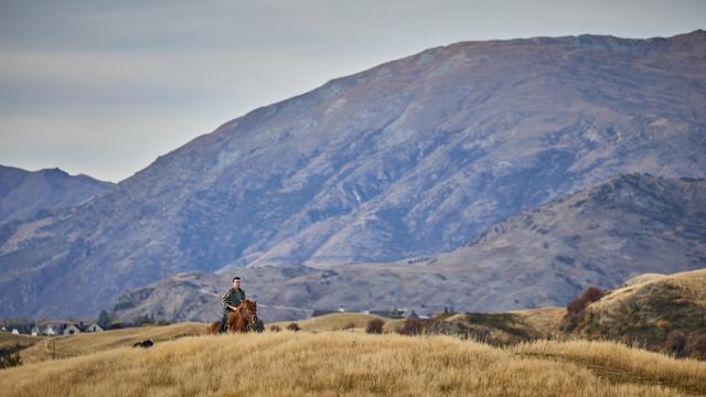 Auswandern nach Neuseeland: »Ich fand einen Weg, als deutsche Anwältin nur remote zu arbeiten«