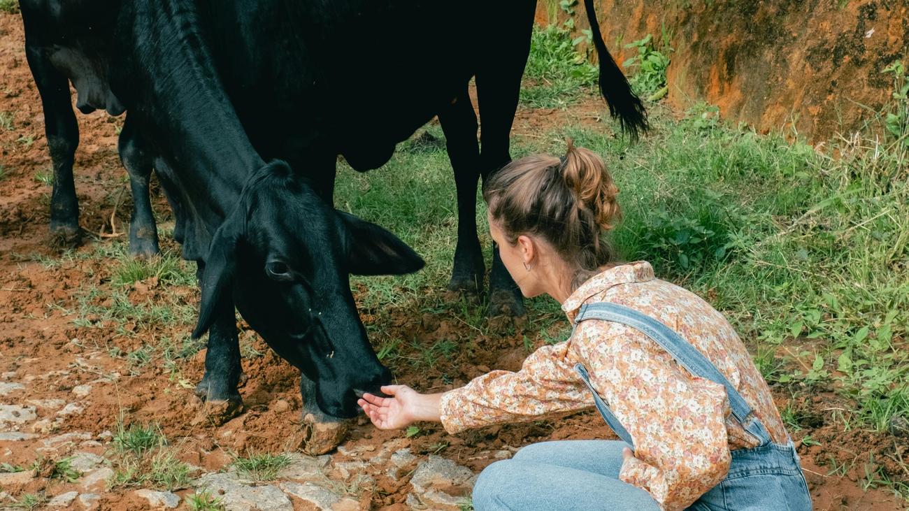 Landwirtin: »Auf dem Amt würde ich locker das Dreifache verdienen«