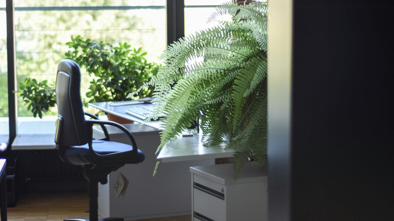 Arbeitsumgebung: Hat Ihr Arbeitgeber das Homeoffice eingeschränkt?