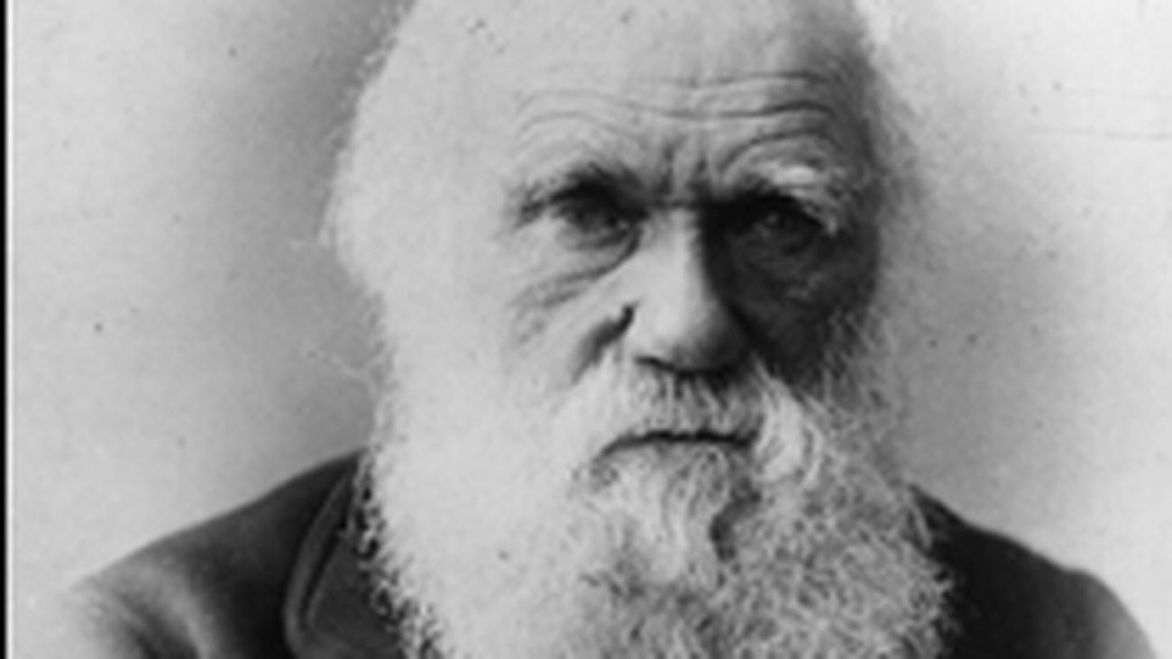 Sachbuch: Hat Charles Darwin recht behalten? Ja. Aber! | ZEIT ONLINE