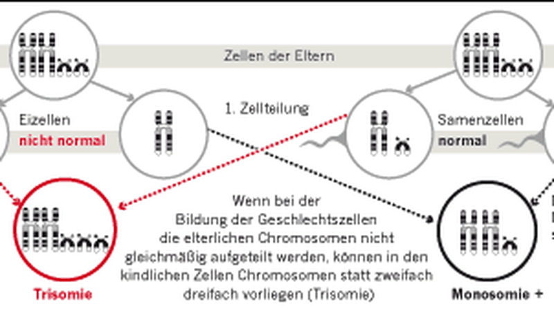 Rechtslage Der Weg Der Entscheidung Zeit Online