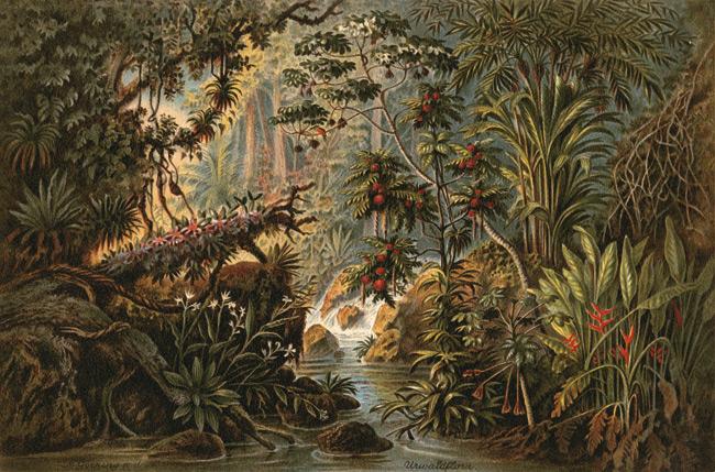 Botanische Gärten: Spaziergang im Paradies | ZEIT ONLINE