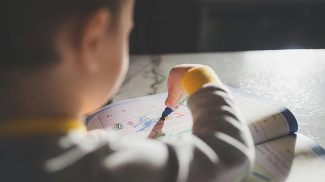 ifo-Bildungsbarometer: Mehrheit der Deutschen befürwortet Ausbau frühkindlicher Bildung