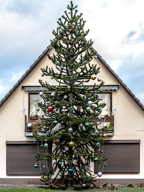 Heiligabend Soloweihnachten Ist Ein Urlaub Furs Ego Zeit Campus