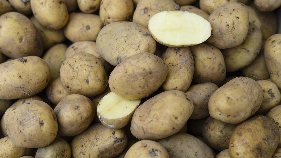 Kartoffeldebatte Gehört die Kartoffel zu Deutschland? ZEIT ONLINE