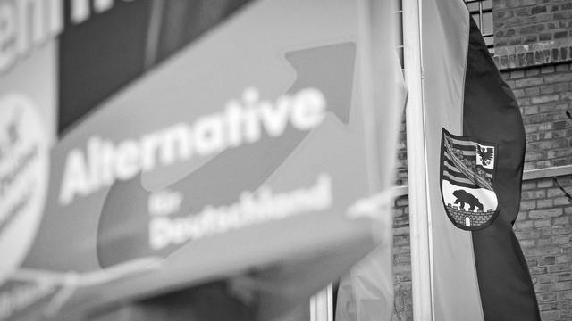 Regierungsbeteiligung der AfD: Was machen Sie, wenn die AfD 