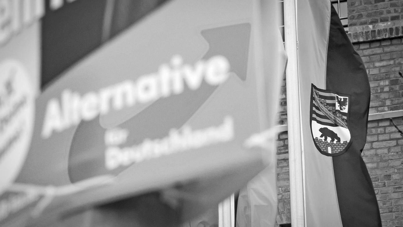 Regierungsbeteiligung der AfD: Was machen Sie, wenn die AfD die Mehrheit hat?