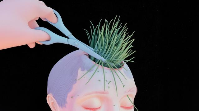 Reddit: Geschnitten nach Lauchgefühl