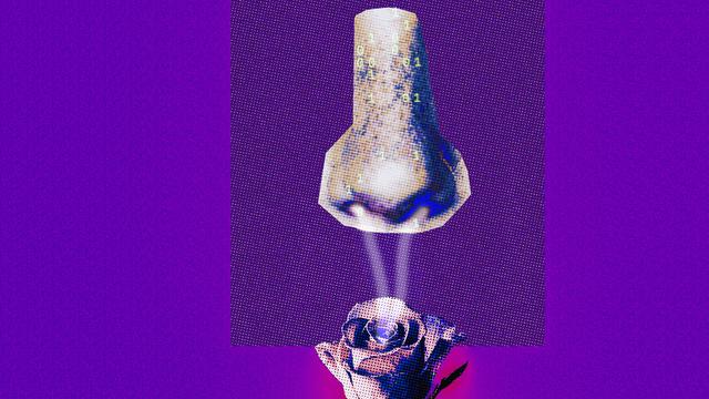 Digitale Düfte: Bananenduft und Kotzgestank sind nur wenige Atome voneinander entfernt