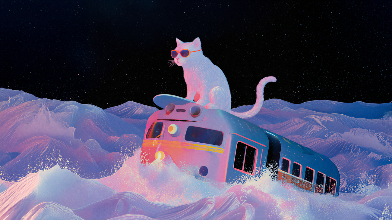 GoPro-Kamera: POV: Du streunst mit den Katern um den Block  