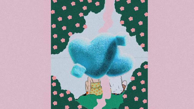 Bild