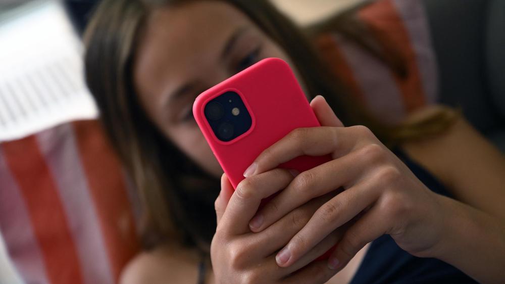 Social media ban France law young people